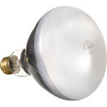 General Electric R40 Reflector Flood Lamp - 300 Watts/120 Volts