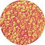 Rosco Colorwave Effects Color Glass Gobo - #33401 - Red Sparkllite (86mm = 3.4")