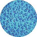 Rosco Colorwave Effects Color Glass Gobo - #33404 - Cyan Sparkllite (86mm = 3.4")