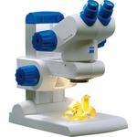 Zeiss Stemi DV4 Stereo Microscope with LED Illumination