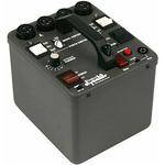 Dynalite 1000 Watt/Second Power Pack with Radio Slave (120VAC)