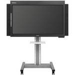 Hitachi PXDUO 50 StarBoard for Plasma Panel