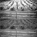 B+W 77mm 092M Infrared (IR) Dark Red Filter