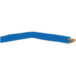 Bolide Technology Group CAT5e Professional Grade Bulk Network Cable (Blue, 1000' )