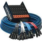 Whirlwind MEDUSA Standard Series 48-Channel Box to Fan Snake with 10 Returns (100') (30.48m)