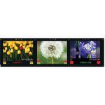Marshall Electronics V-R653SB-IMD 6.5" High Definition 3-LCD Rackmount