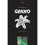 Pictorico Gekko Green (11 x 17", 10 Sheets)