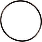 Ikelite Replacement O-Ring for Ikelite Fathom Imaging WP-80 Wide Angle Port