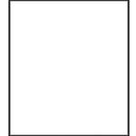 Botero #000 Muslin Background (5x6', White)