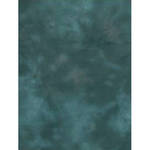 Backdrop Alley Reversible Muslin Backdrop (10 x 12', Aqua Night/Blue Meadow)