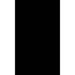Backdrop Alley BAPH24BLK Premium Heavyweight Solid Muslin (10 x 24', Black)