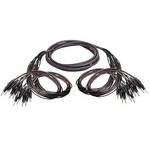 Whirlwind 16 Channel 1/4" TRS Male to 1/4" TRS Male Snake Cable - 15'