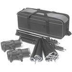 Profoto D1 250 W/S 2 Monolight Studio Kit