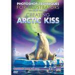 Airbrush Action DVD:Creating Arctic Kiss with Jerry LoFaro
