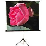 Mustang SC-T6011 Tripod Front Projection Screen (60x60")