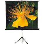 Mustang SC-T7011 Tripod Front Projection Screen (70x70")