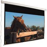 Mustang SC-E120D16:9 Motorized Front Projection Screen (72x104")