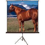 Mustang SC-T100D43 Tripod Front Projection Screen (60x80")