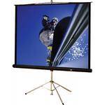 Hamilton Buhl TPS-T60 Tripod Screen (60 x 60")