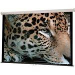 Hamilton Buhl DSR8484  Innsbruck Motorized Wall Front Projection Screen (84x84")