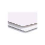 Archival Methods 4-Ply Conservation Pearl White Mat Board (20 x 24", 15 Sheets, Pearl White)