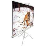Elite T136NWS1 Portable Tripod Front Projection Screen (96x96")