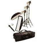 Norman 3 Monolight Softbox/Umbrella Kit (120VAC)