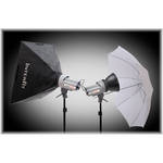 Interfit EXD400 Softbox/Umbrella Kit