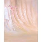Won Background Muslin Xcanvas Background - Curtain Touch - 10x10'