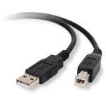Belkin Hi-Speed USB 2.0 Cable (10')