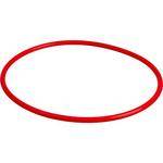 Olympus POL-042 O-Ring for PT-043 & PT-042 Housings