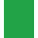 Won Background Muslin Modern Background - Chroma Key Green - 10x20' (3x6m)