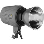 Impact Digital Monolight 400W/s (120VAC)