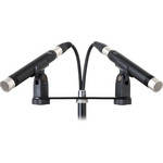 Mojave Audio MA-100SP Small-Diaphragm Tube Condenser Microphone (Stereo Pair)