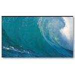 Vutec 01-PT080-080 Prismatic Commercial Rear Projection Screen (80x80")