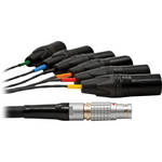DPA Microphones DAO5120 Lemo multi-pin to 6 x XLR-M,  65.6' (20 m)