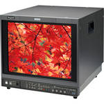 Ikegami HTM-1917 -RRM 19" HDTV/SDTV Multi-Format Color Monitor