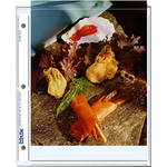 Print File Archival Storage Page for Prints, 8x10", Holds 2 Prints - 500 Pack