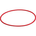 Olympus POL-038 O-Ring for PT-038 Housing