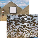 Sunbounce Sun-Scrim Translucent Le Louche Butterfly Kit (6x6')