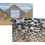 California Sunbounce Sun-Scrim Le Louche Transparent Screen (6x6')