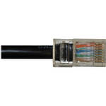 Gefen Cat-5 Cable (125')