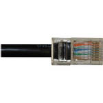 Gefen  Cat-5 Cable (200')
