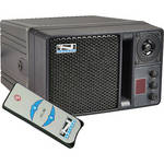 Anchor Audio AN-130 With Wireless Receiver and Remote (Black)