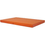 Cargo Premier Archival Cargo Premier Presentation & Storage Box - 11 x 14 x 1"  (Saffron) 
