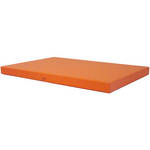 Cargo Premier Archival Cargo Premier Presentation & Storage Box - 11 x 17 x 1"  (Saffron) 