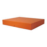 Cargo Premier Archival Cargo Premier Presentation & Storage Box - 11 x 14 x 2"  (Saffron) 