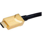 Gefen HDMI to HDMI Cable (30')