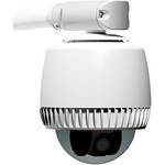 American Dynamics RASELPS SpeedDome Optima LT Indoor Pedant Mount Dome (Smoked Bubble)