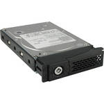 Dulce Systems 250GB Spare Hard Drive with Tray